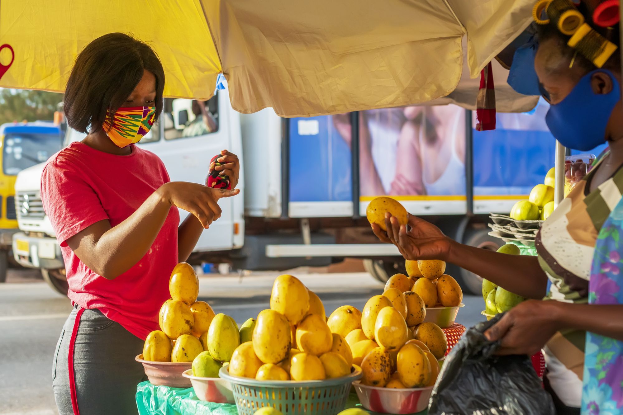 Saiba quais os alimentos que estão na safra e seus benefícios